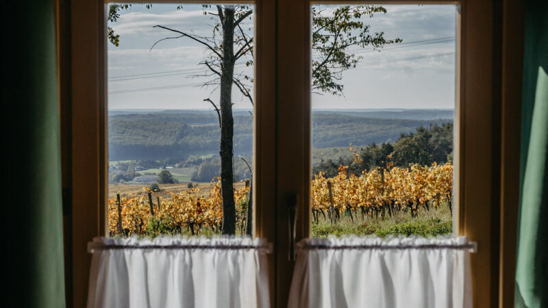 Ferienhaus Naturblick_026©Burgenland Tourismus_Tommi Schmid